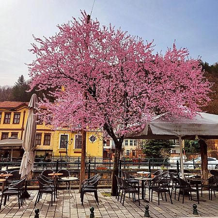 Center River Apartment Флорина Екстериор снимка